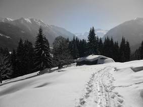 Panorama